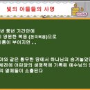 족보삼 Daum카페