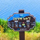 대구둘레길 4코스 공산무태길 , 금호강변 누리길 산책로 이미지