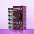 포아이즈 이미지