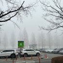 에버랜드 정문주차장 | 에버랜드 정문주차장 주차요금과 카카오T 할인, 그리고 주말 이용 팁