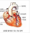 가슴 가운데 통증 답답함 원인 9가지 이미지