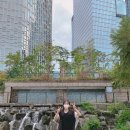 당당이 애견 이미지