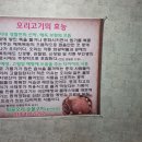퇴골오리숯불구이홍천본점 네이버블로그