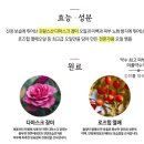 미플약수역점
