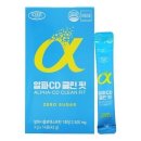 에버그린 이미지