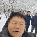 명동산장펜션