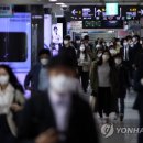 법인지놀자