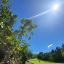 티업골프시티 이미지