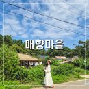 매향농촌체험휴양마을 이미지