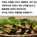 청청농부 이미지