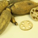 8뿌리한의원 이미지