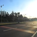 강정동-40 이미지