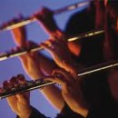 플루트(1년) 이미지