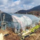 포전리 마을회관 이미지