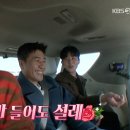 미스동백 이미지