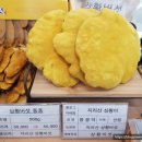 김미순농장 네이버블로그