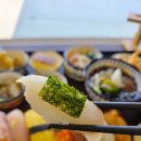 용호동 35번지 공원옆 | 창원 가로수길 점심 데이트 맛집 추천 다양한스시 한판에 용호동 가로수길초밥
