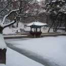좌판 Daum카페