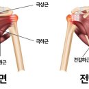 경희하온재한의원 이미지
