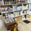 금비동물병원 이미지