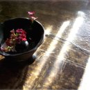 (주)행복한여행 이미지