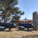 지산축산 이미지