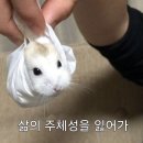 세븐일레븐 남원병원점 | 25년