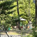 고봉민김밥 세종아름점 이미지