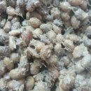 자매청국장 이미지