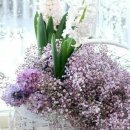 삼세오충열사 이미지