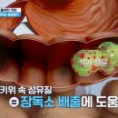 여름철 면역관리의 핵심, 장 건강 솔루션 이미지