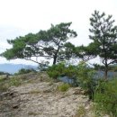 부남면사무소 이미지