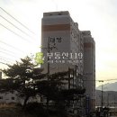 언양로 Daum카페