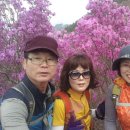 광업소사택 앞(해안변) | ◈부산백산산악회 거제 대금산 진달래/거제 공곶이 번개산행 후기 ◈(2016. 4. 2. 토)