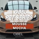 모카수입 | 부천랩핑 테슬라 랩핑 OBEL MOUSSE MOCHA 무스 모카 전체랩핑 후기