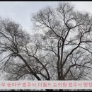 성실한법무사사무소행정사