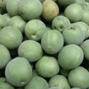 정순농장(2) 이미지