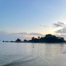 나무집 펜션 | [인천 자월도 감나무집 펜션] 8월 2~3일 1박2일 가족 여행 후기｜장골해수욕장·소라구이·BBQ까지 완벽...