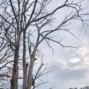 황금폭포하늘길 이미지