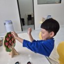 큐렉스 | 매쓰플레이 유치부 플레이팩토 큐렉스 5살 후기