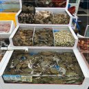 현주네집 이미지