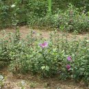 흥덕초등학교 이미지