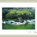 늘푸른꿈 이미지