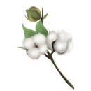 목화공인중개사사무소 이미지