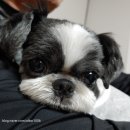 그별에서다시만나