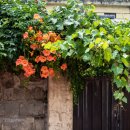 안흥마을 이미지