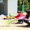 죽산초등학교장 이미지