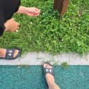 와와호프 - 정선군 녹송로 64 | 와와호프