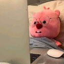 황금포차 이미지