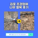 나무엔 | 김포 조경업체 나무 벌목 후기